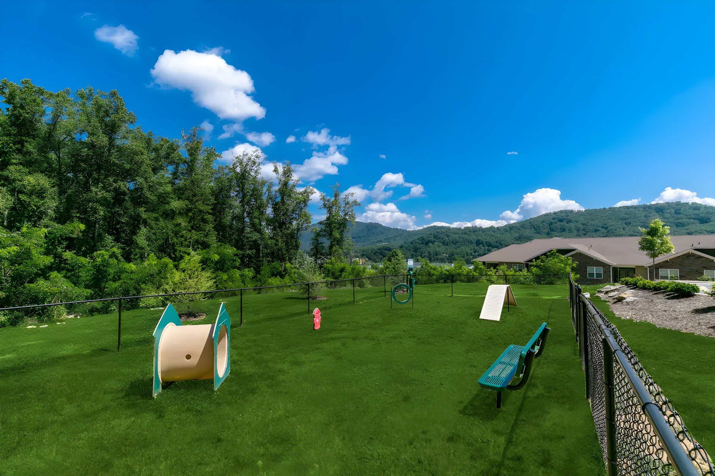 Fenced green dog park with agility equipment, bench, trees, and houses under a blue sky with scattered clouds.