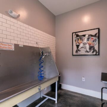 Gallery Image 31